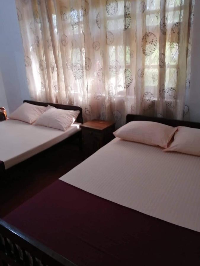 Olivia Homestay Анурадхапура Екстер'єр фото